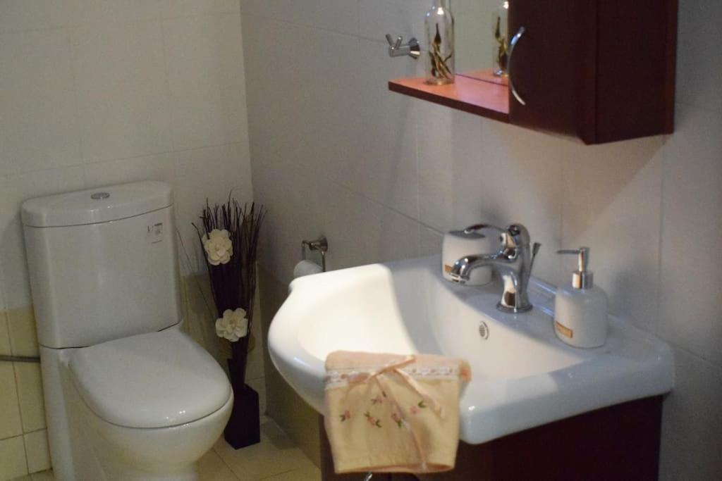 Apartmán Deppy'S House Κοντά Στα Λουτρά Πόζαρ Chrysi Exteriér fotografie