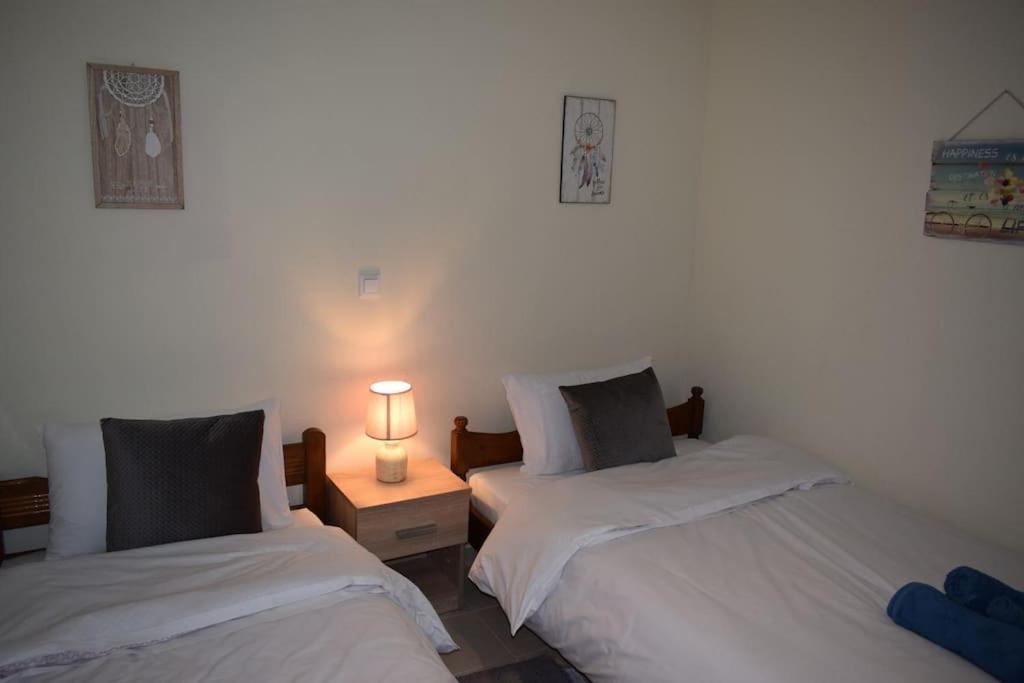 Apartmán Deppy'S House Κοντά Στα Λουτρά Πόζαρ Chrysi Exteriér fotografie