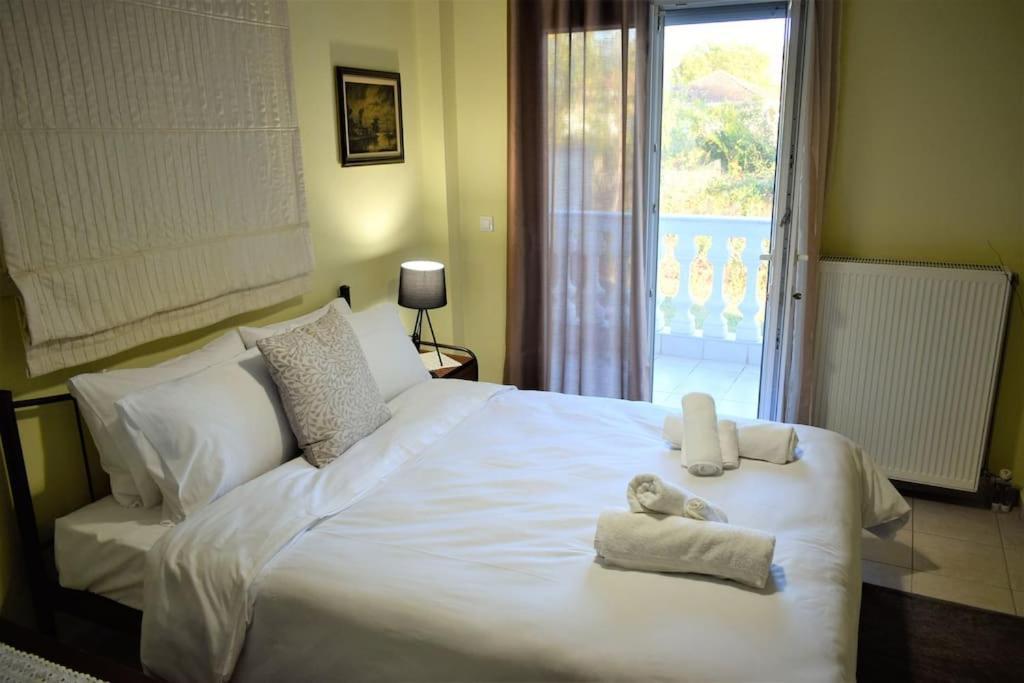 Apartmán Deppy'S House Κοντά Στα Λουτρά Πόζαρ Chrysi Exteriér fotografie